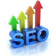 Website search engine optimization