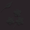 Black plum background