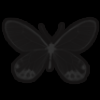 Black butterfly background