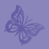 Blue butterfly background