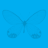 blue butterfly background