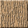 Brown Bark Background