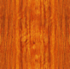 Orange Panel Background