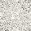 light gray lace background