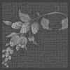 gray grape vine background