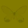 green butterfly background