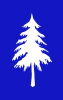 Blue Christmas Tree Background