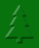 Green Christmas Tree Background