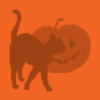 Cat and pumpkin background