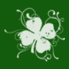 Decorated clover background