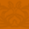 Orange raccoon background