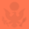 Pinkish orange eagle background