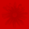 Red sunflower background