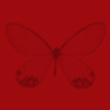 red butterfly background