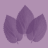 Violet leaf website background