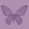 Violet butterfly website background