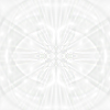 White Shield Background