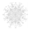 White snowflake background