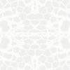 white turtle shell background