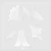 white flowers background