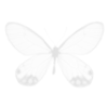 white butterfly background