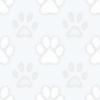 White paws website background