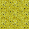 Yellow Green Background