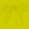 Yellow squid background