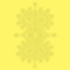 Yellow double powder puff background