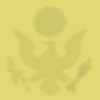 Yellow eagle background