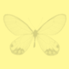 yellow butterfly background