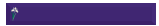 violet flower 7 website button